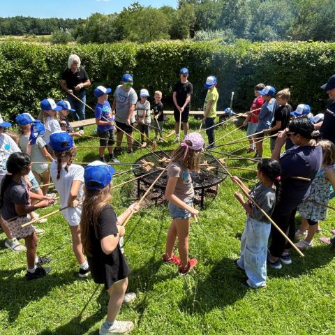 Bild15