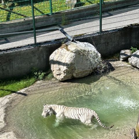 Bild1
