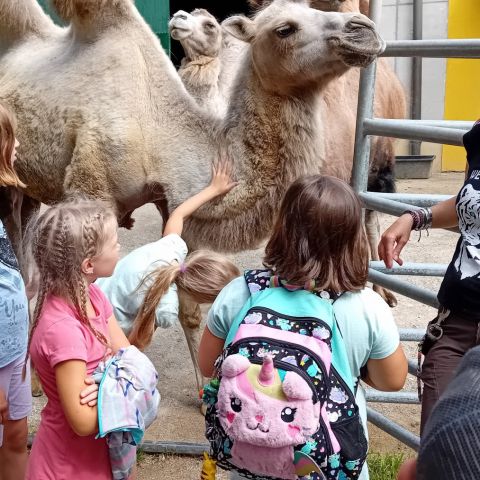 Gauditag-06.08.2024-Weisser-Zoo-088
