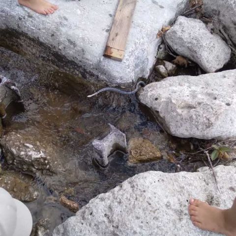 IMG-20250827-WA0028