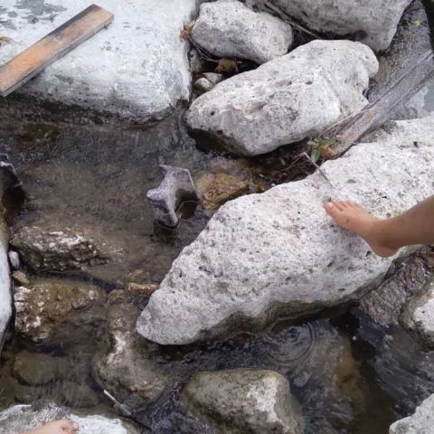 IMG-20250827-WA0029