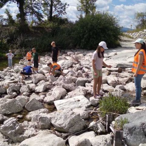 IMG-20250827-WA0038