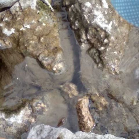 IMG-20250827-WA0003