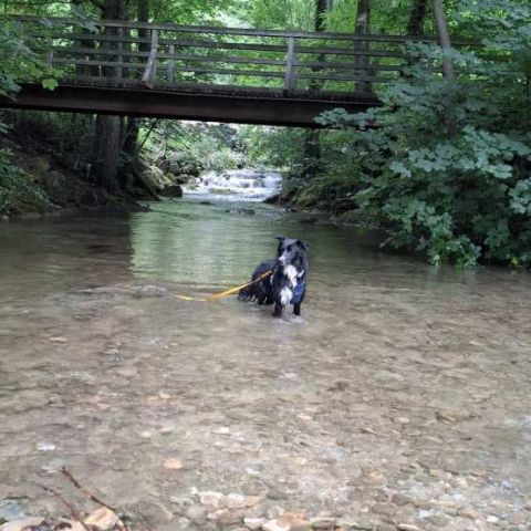 IMG-20250729-WA0030