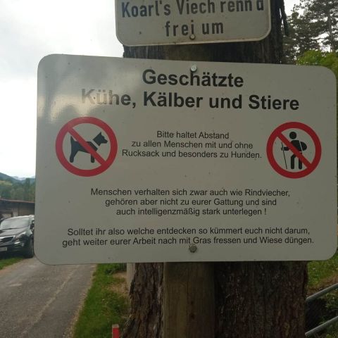 IMG-20230809-WA0016