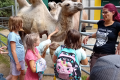 Gauditag-06.08.2024-Weisser-Zoo-088