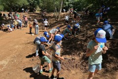 Bild12