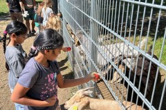 Bild6