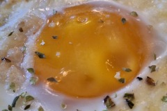 2025-Gaudi-Trioaktiv-24