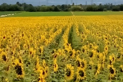 2025-Gaudi-Trioaktiv-72