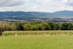 2025-Gaudi-Trioaktiv-76