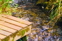 2025-Gaudi-Trioaktiv-82