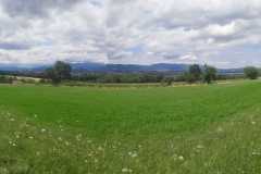 2025-Gaudi-Trioaktiv-86