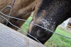IMG-20250729-WA0000