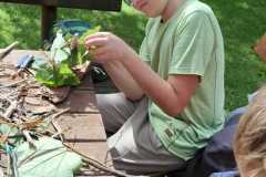 IMG-20250729-WA0006