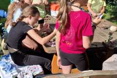 IMG-20250729-WA0014