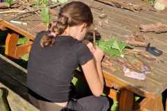 IMG-20250729-WA0015