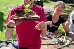 IMG-20250729-WA0016