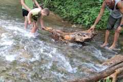 IMG-20250729-WA0019