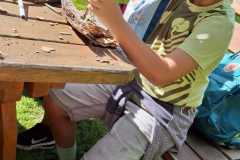 IMG-20250729-WA0021