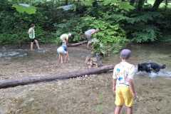 IMG-20250729-WA0023