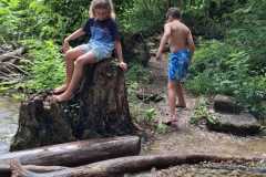 IMG-20250729-WA0024