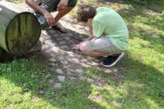 IMG-20250729-WA0026