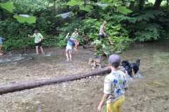 IMG-20250729-WA0028