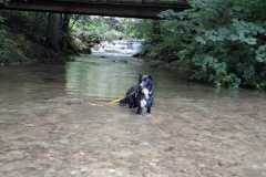 IMG-20250729-WA0030