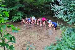 IMG-20250729-WA0034