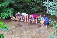 IMG-20250729-WA0035