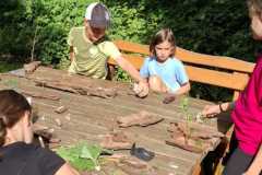 IMG-20250729-WA0046