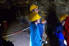IMG-20250916-WA0017