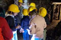 IMG-20250916-WA0020