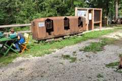 IMG-20250916-WA0021