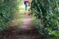 IMG-20250827-WA0002
