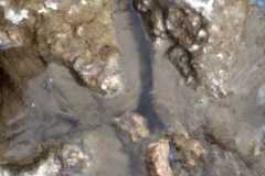 IMG-20250827-WA0003