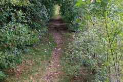IMG-20250827-WA0005
