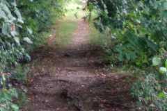 IMG-20250827-WA0006