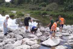 IMG-20250827-WA0009