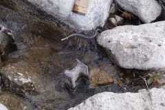 IMG-20250827-WA0028