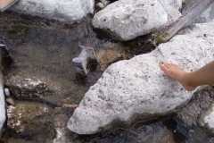 IMG-20250827-WA0029