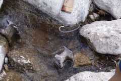 IMG-20250827-WA0031