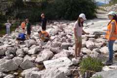IMG-20250827-WA0038