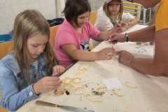 IMG-20250806-WA0031