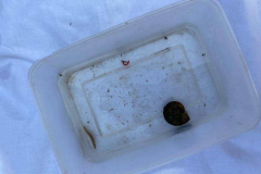 IMG-20230724-WA0005